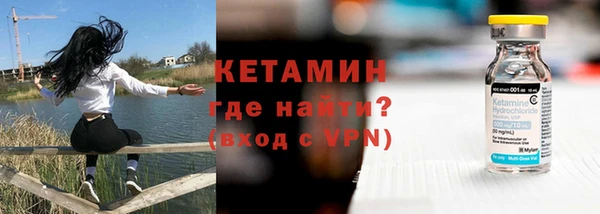СК Дмитров