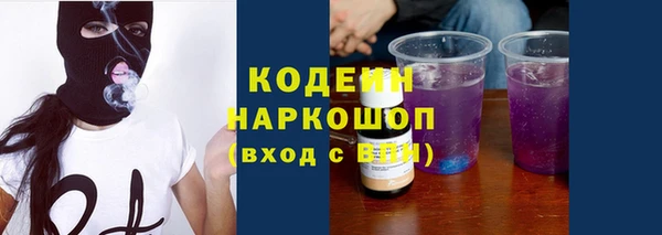 гашик Дмитриев