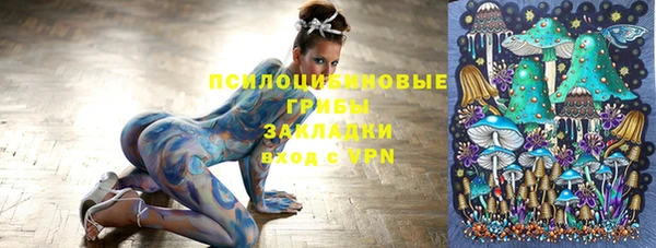 СК Дмитров