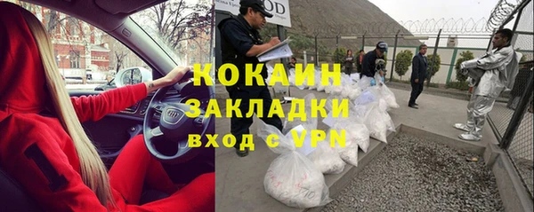 дживик Гусев
